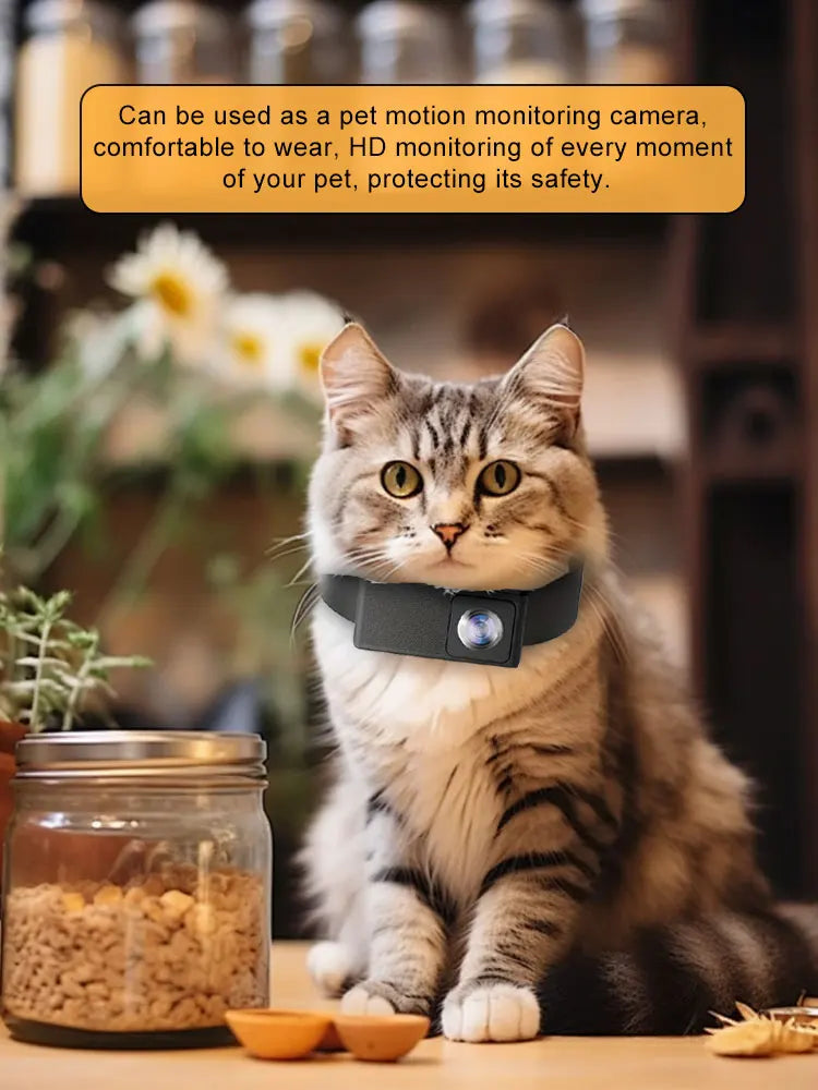 BORME HD 1080P Pet Cameras Dog Cat Pet Camera Wireless Collar Camera No WiFi Needed Video Records for Cats Dogs Birthday Gift - Fortunato Store