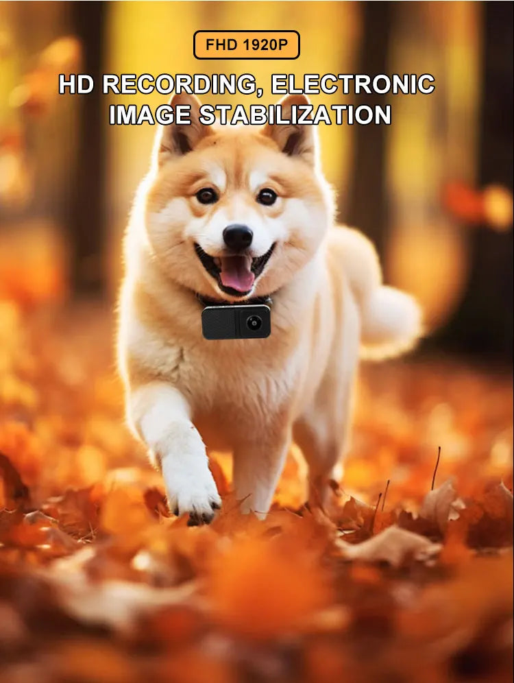 BORME HD 1080P Pet Cameras Dog Cat Pet Camera Wireless Collar Camera No WiFi Needed Video Records for Cats Dogs Birthday Gift - Fortunato Store